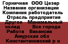 Горничная. ООО Цезар › Название организации ­ Компания-работодатель › Отрасль предприятия ­ Другое › Минимальный оклад ­ 1 - Все города Работа » Вакансии   . Амурская обл.,Константиновский р-н